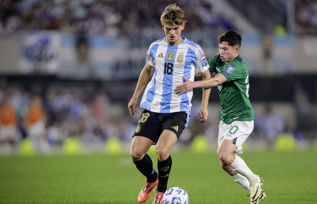 尖拳手所具 尖拳手所具